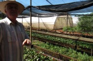 cuba urban farm VOICES OF THE TRANSITION: the transition movement comes to film