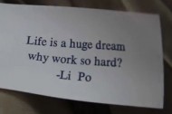 Li-Po440 Poetry bombing