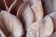 PIG EARS Pig knuckles and chicken feathers
