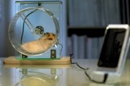 hamster phone charger featured Green (and quirky) pet products