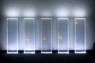 Quiet Ensemble turns your fish tank into a concert hall