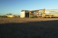 northern arizona desert Kids are suffering from global warming – and they're suing the government