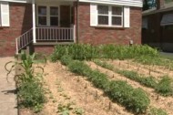 Growing your own vs City Hall