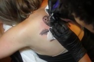 Tatzoo: Wildlife advocacy meets tattooing