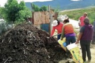 worm composting oaxaca Earthworms: Wiggly weapons against poverty