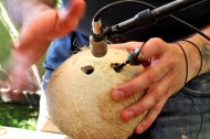Nature sounds featured Diego Stocco: The sound of nature
