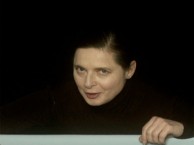 Harem on the Beach (GREEN PORNO Season 3) Isabella Rossellini finds that size does matter in the heirarchy of elephant seals.