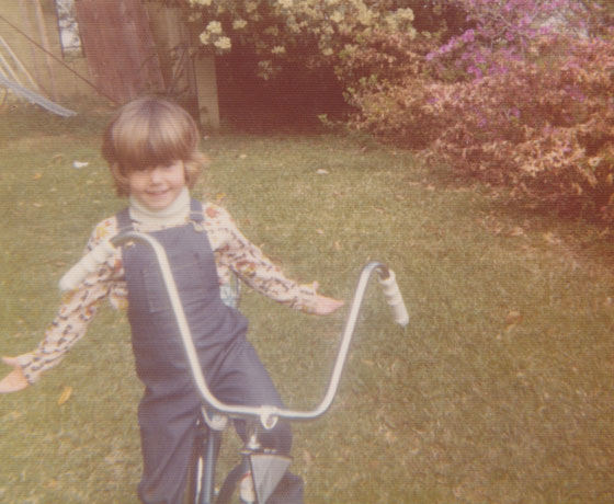 tms_tig_notaro_wordpress