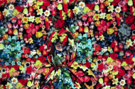 Photographer to watch: Annie Collinge