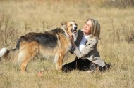 DARLING COMPANION is the latest in movieland's obsession with dogs