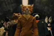 That fox is foxy!