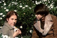CINEMA – looking back at Hal Ashby