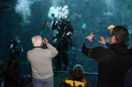 Caring for the environment (and each other) at the Aquarium of the Pacific