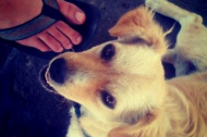 Happy birthday, Instagram! From dogs to Dom PƩrignon