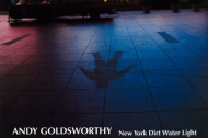Andy Goldsworthy in NY