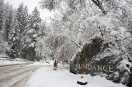 The Best of Sundance 2012