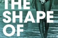 2010 Bad Sex in Fiction Award