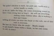 My rose-wet cave: the great love lines of Adrienne Rich