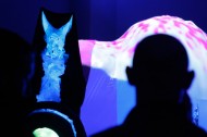 Transverse Temporal Gyrus: A Psychedelic Evening with Animal Collective and Danny Perez