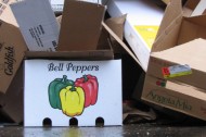 Greener Consumption: The lagniappe edition