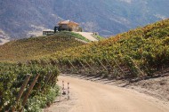 Chilean wines going green