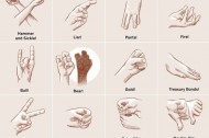 Political rock-paper-scissors