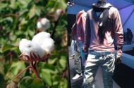 Want to know the lifecycle of your clothes? Track & Trace it