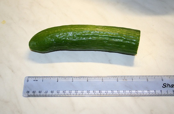 Cucumber Penis 106