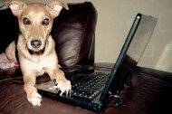 What would you give up for the internet?
