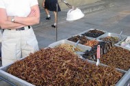 Want to fight global warming? Start eating insects