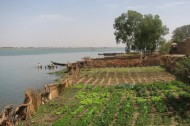 The African land grab continues in Mali