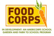 An Americorps for healthy school lunches
