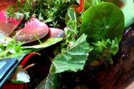 When the farmers market isn't sustainable enough: ForageSF