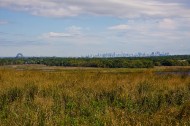 Public art to provide renewable power at Freshkills Park