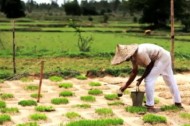 GENERATION FOOD: All meals are local
