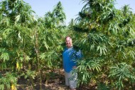 Hemp: the world's grooviest building material?