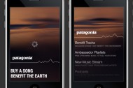 Buy music, support green non-profits: the Patagonia Music Collective