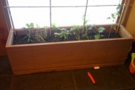 Greener Consumption: The grow-your-own indoor edition