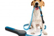 Give your pet a QUIRKY little Christmas