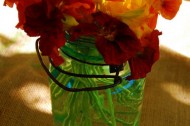 Something Borrowed: a lending library for brides-to-be