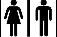 Toward a 2012 peace treaty in the battle of the sexes