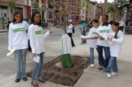 Tree planting = green jobs? MillionTreesNYC thinks so…