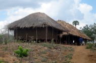 Africa's farm land: a new source of exploitation