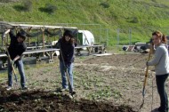Tikkun Olam awards recognize teen gardening advocate