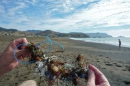 Method's "Ocean Plastic:" green or greenwash?