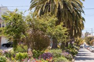 The Quesada Gardens Initiative: taking a bite out of crime with plants