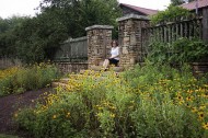 Suburban agriculture: food, not lawns