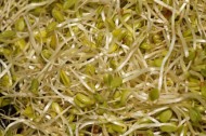 What's up with all the organic food recalls?