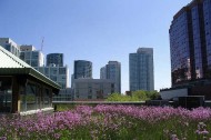 Toronto's green roofs mandate: the right approach?