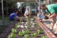 The corporate garden: good CSR, or cheap employee benefit?